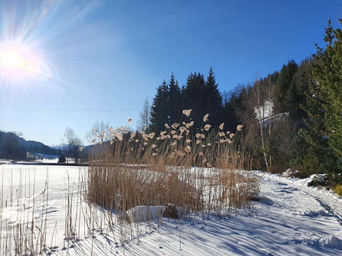 Grassegger Appartementhaus Sankt Johann am Tauern المظهر الخارجي الصورة
