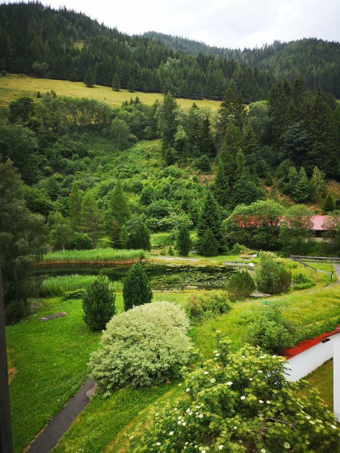 Grassegger Appartementhaus Sankt Johann am Tauern المظهر الخارجي الصورة
