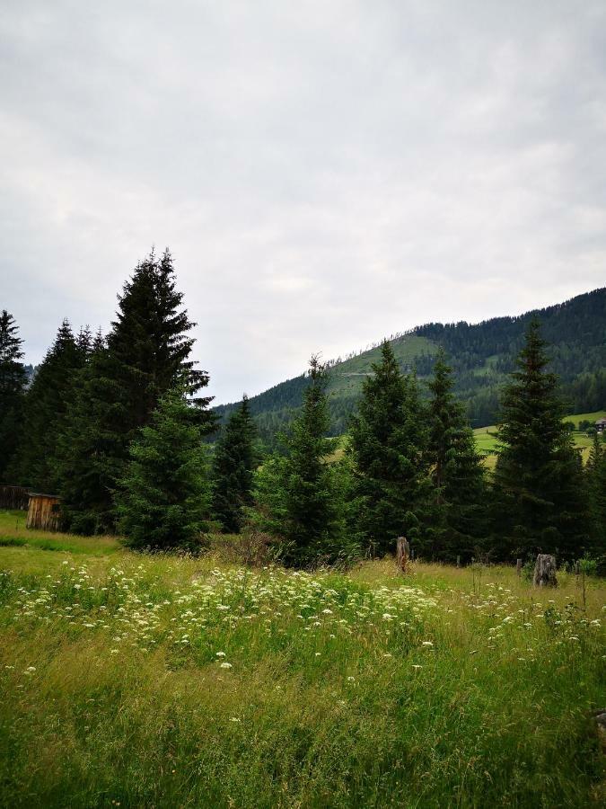 Grassegger Appartementhaus Sankt Johann am Tauern المظهر الخارجي الصورة